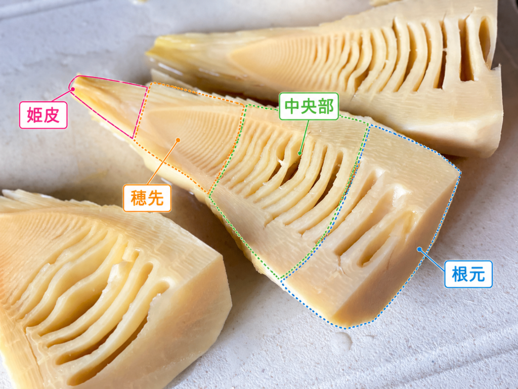茹でた筍の部位 「姫皮」「穂先」「中央部」「根元」
